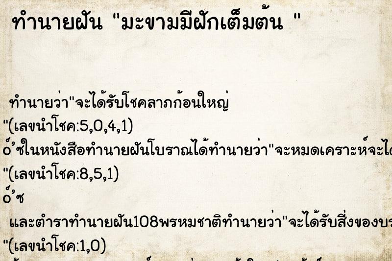 ทำนายฝัน มะขามมีฝักเต็มต้น 